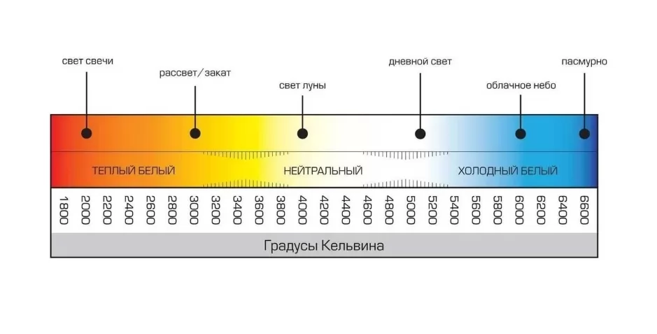 Картина продукта